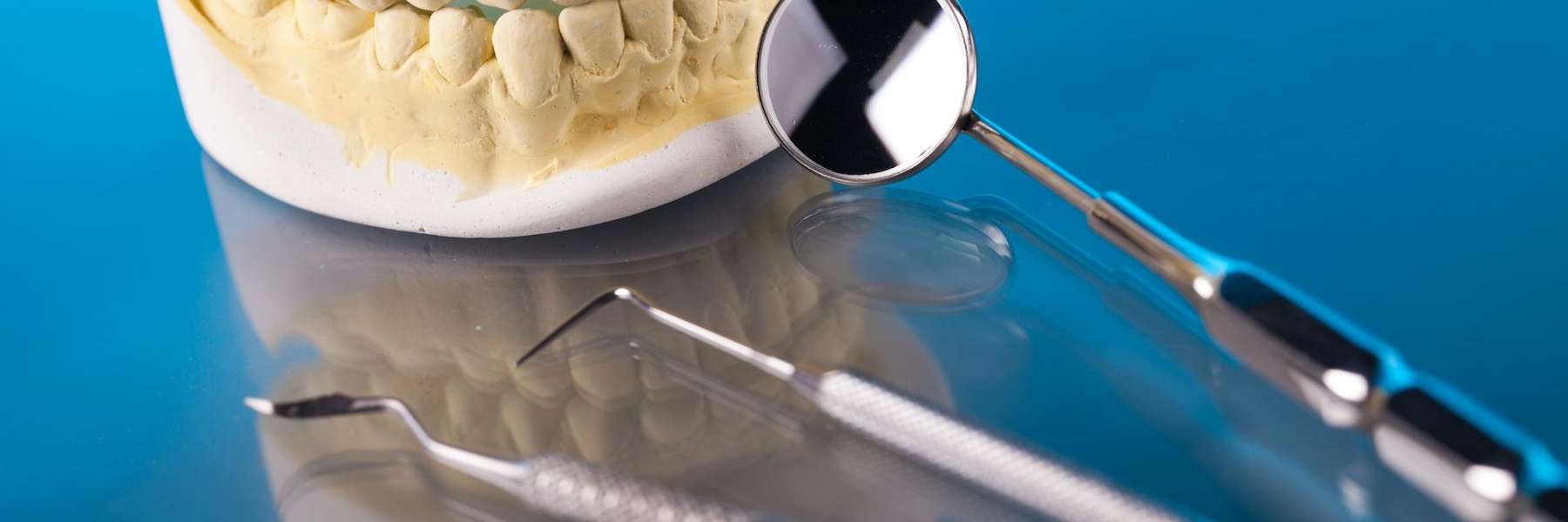 showing intricate details of the teeth and gums